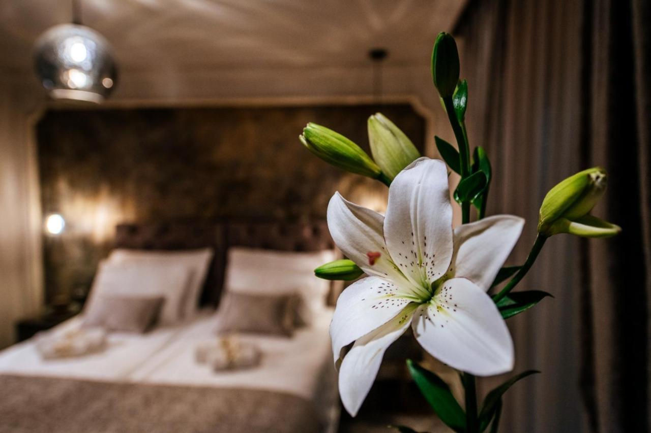 Luxury Rooms Vindemiae زادار المظهر الخارجي الصورة